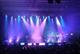Concerts & Theatres